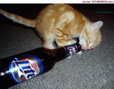 alcoolique